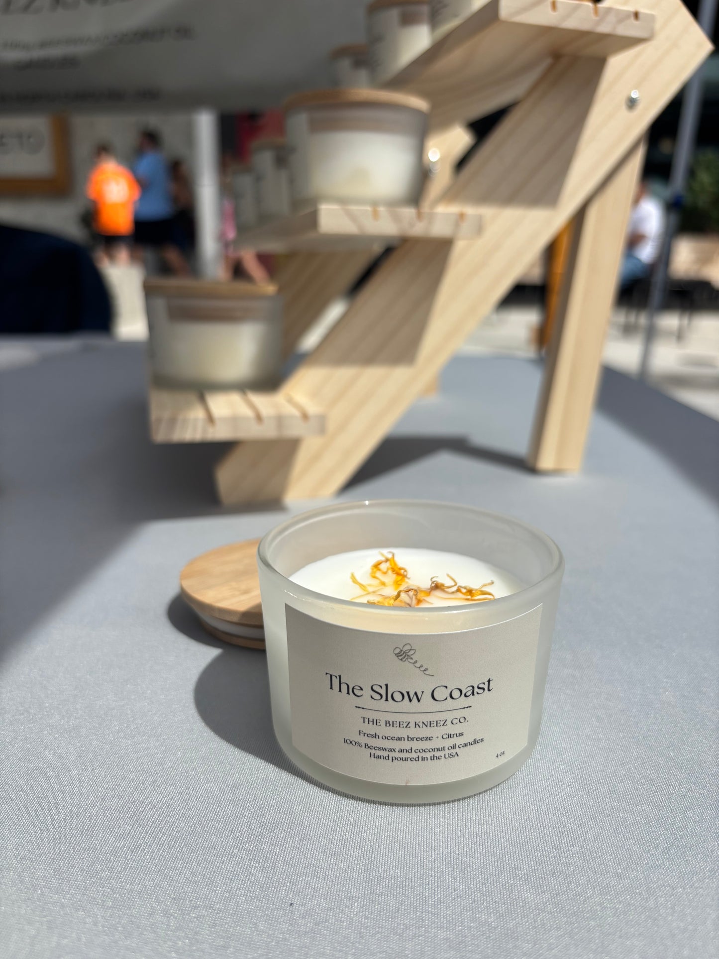 Mini The Slow Coast
