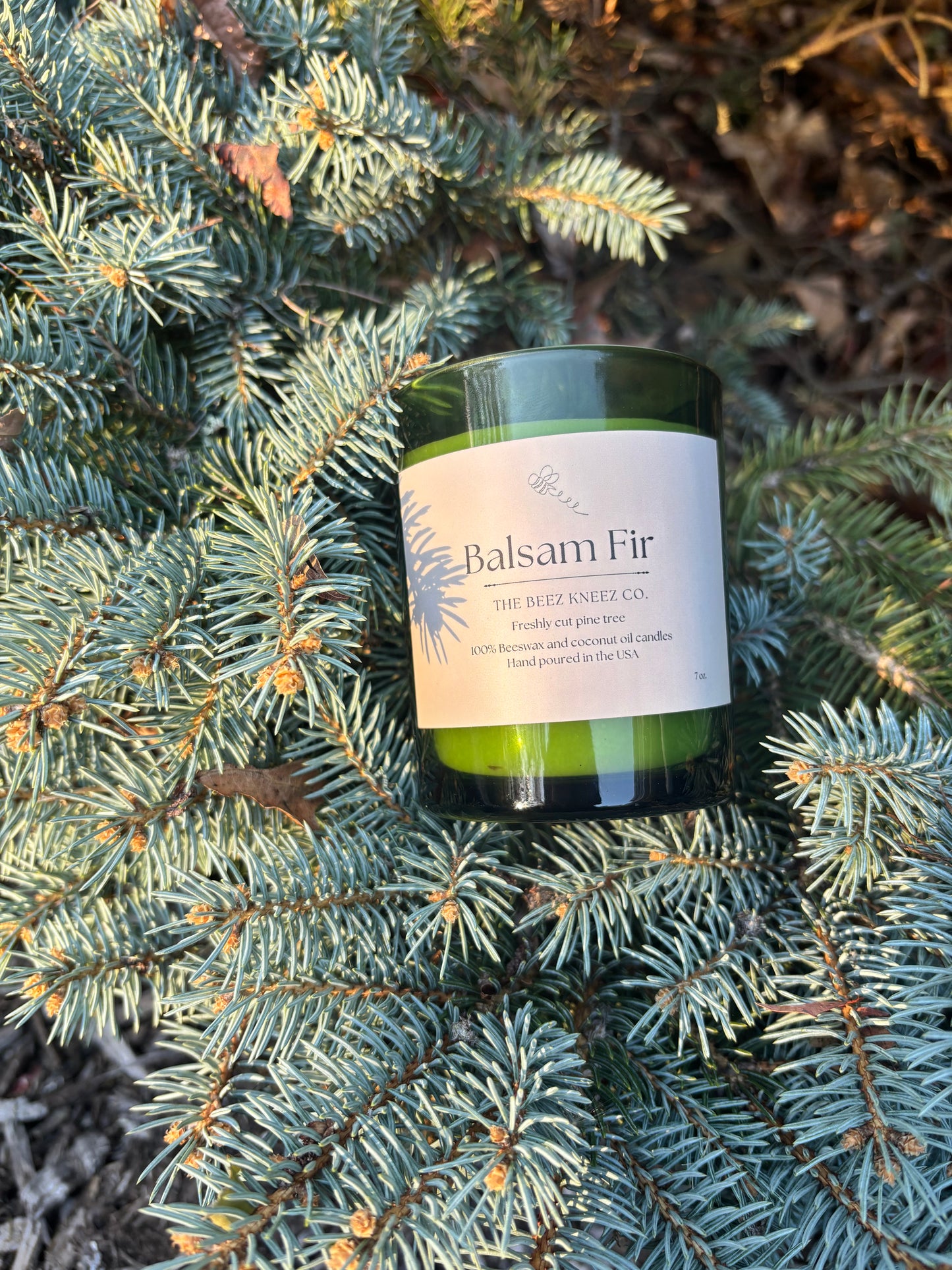 Balsam Fir